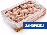 Кура — foto 1