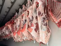 Мука мясная КРС — photo 3