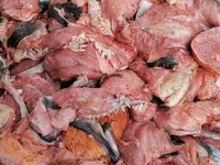 Закупаем субпродукты, рубец, фарш. Говядина, баранина, конина, птица. Для кормления собак. Viber. — photo 1