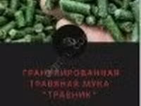 кормовые добавки (минеральные добавки, глютены, животные белки, ЗЦМ и защищенные жиры ) — الصورة 2