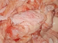 Кожа и жир индейки — Foto 2
