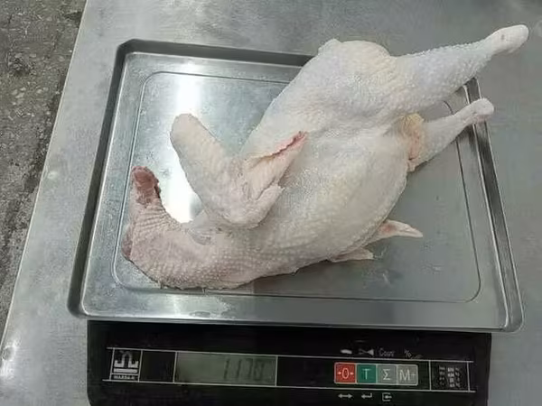 Тушка кур 2 сорт зам сибагро