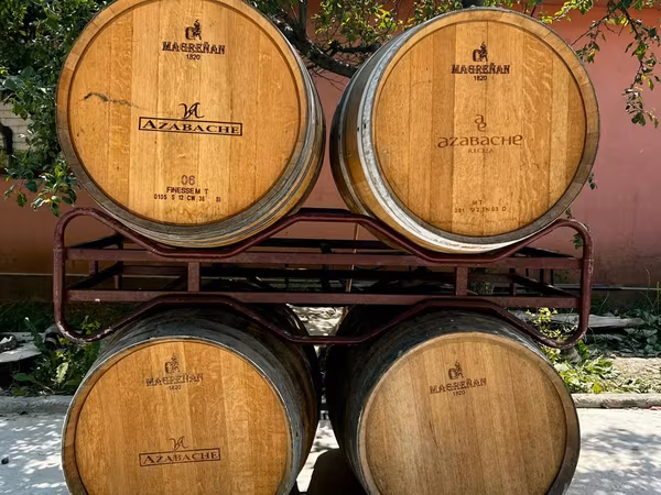 Butoaie de stejar Franceze