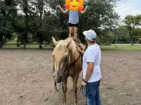 Koń, Quarter Horse — zdjęcie 7