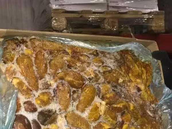 Желчь