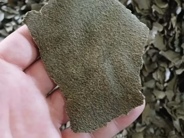 Жмых Рапсовый