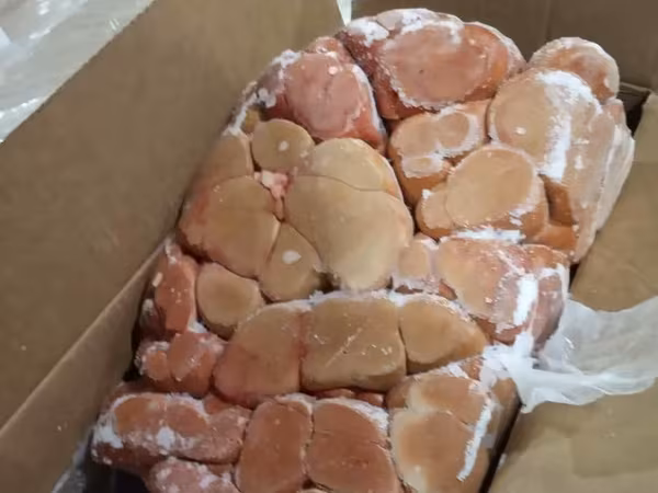 Селезенка