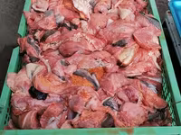 Закупаем субпродукты, рубец, фарш. Говядина, баранина, конина, птица. Для кормления собак. Viber. — photo 4