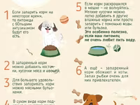 Корм для собак экструдированный — الصورة 2