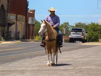 Caballo, Palomino — foto 8