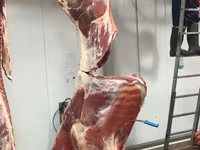 Говядина высший сорт — الصورة 3