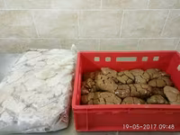 Почки говяжьи — Foto 1