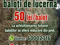 Vind baloți de lucerna 1 cosire-50lei/balot, a2-cosire 60lei balot.Sunt frunzoși și păstrați foarte — photo 4