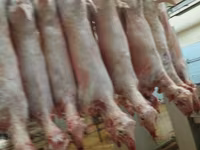 Продам баранину ягнят — photo 1
