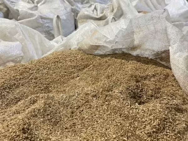 Сухая пивная дробина