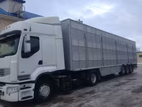 Byk, Bydło — zdjęcie 2