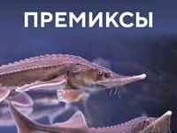 Премиксы для рыбных кормов — zdjęcie 4