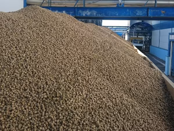 Сухуая пивная дробина.