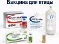 Вакцины для сельскохозяйственной птицы — photo 2