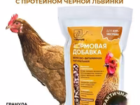 Витамины для кур несушек с Черной львинкой — zdjęcie 1