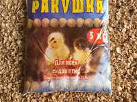 Ракушка морская кормовая — zdjęcie 1