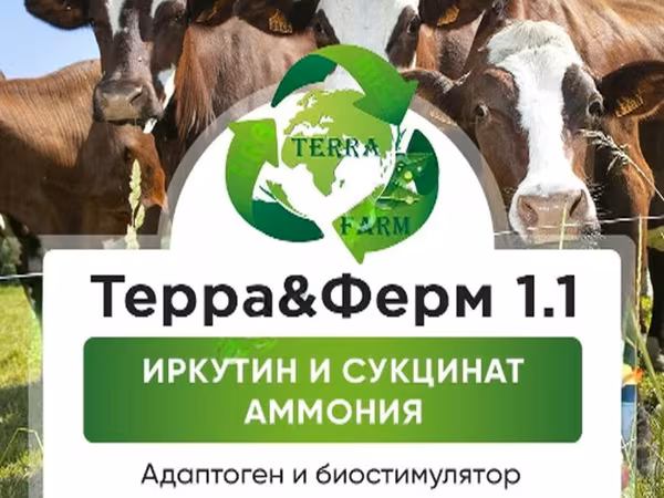 Новый адаптоген и биостимулятор продуктивности животных ТерраФерм 1.1.