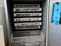 Incubator de ouă ILB-0.5 — photo 2
