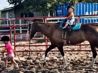 Kobyła, American paint horse — zdjęcie 8