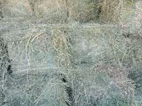 Vind baloți de lucerna 1 cosire-50lei/balot, a2-cosire 60lei balot.Sunt frunzoși și păstrați foarte — photo 2