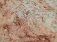 Суповой набор цыпленка бройлера — फ़ोटो 2