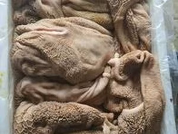 Закупаем на постоянной основе. Субпродукты для кормления домашних животных.