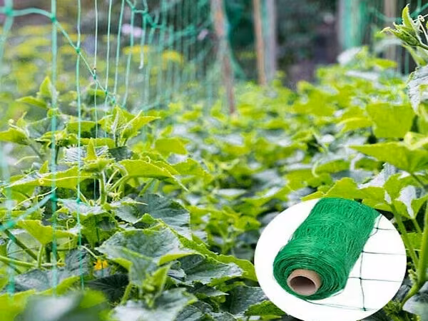 Сетка шпалерная для вьющихся растений.Plasă pentru plante cățărătoare.
