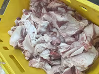 Шкура пластовая/кусковая — photo 3