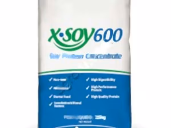 Соевый протеиновый концентрат СПК X-Soy 600 (Х-соя 600) CJ Selecta, производство Бразилия