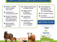 Пробиотическая кормовая добавка Амилоцин — Foto 3
