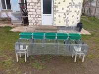 Cuști pentru iepuri клетка для кроликов — zdjęcie 1