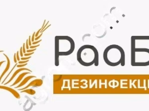 Средство дезинфицирующее РааБокс