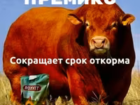 Премикс для ускоренного откомра КРС и МРС — zdjęcie 1