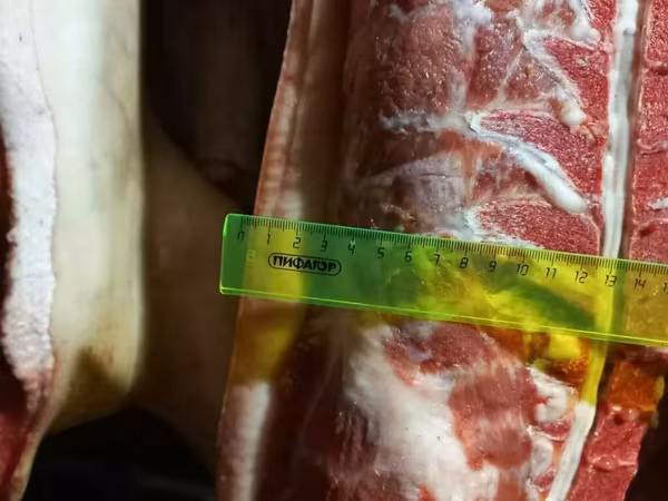 Свинина и субпродукты в ассортименте