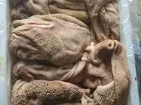 Закупаем на постоянной основе. Субпродукты для кормления домашних животных. — foto 1