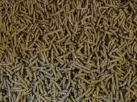 Granule pentru iepuri de calitate superioara.Edineț.facem livrare — फ़ोटो 2