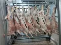 Субпродукты бараньи — foto 3