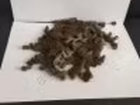 КЗП (кормо-зерновой продукт) — Foto 3