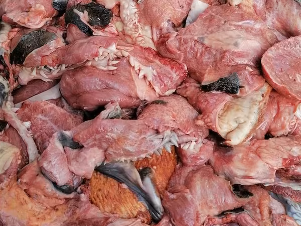 Закупаем субпродукты, рубец, фарш. Говядина, баранина, конина, птица. Для кормления собак. Viber.
