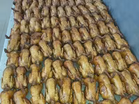 Prepelite: carne, oua, taietei, afumate, marinate, congelate, maioneza, pate, carne inabusita etc.. — zdjęcie 3