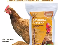 Витамины для кур несушек с Черной львинкой — zdjęcie 4