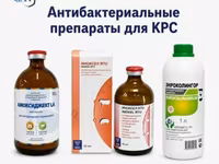 Антибактериальные препараты для КРС — zdjęcie 1