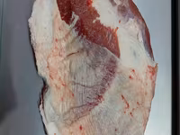 Грудной brisket бык ГОСТ halal доставка — photo 1