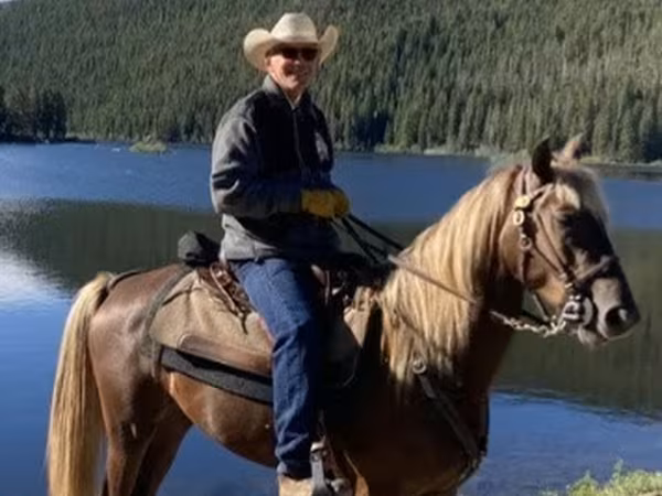 Koń, Rocky Mountain Horse