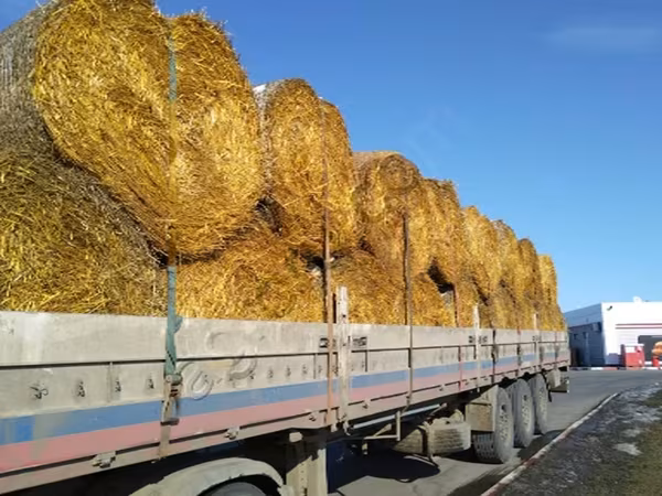 Солома